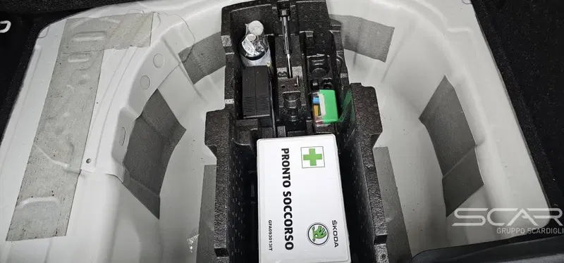 Skoda Kamiq usata a Livorno (17)