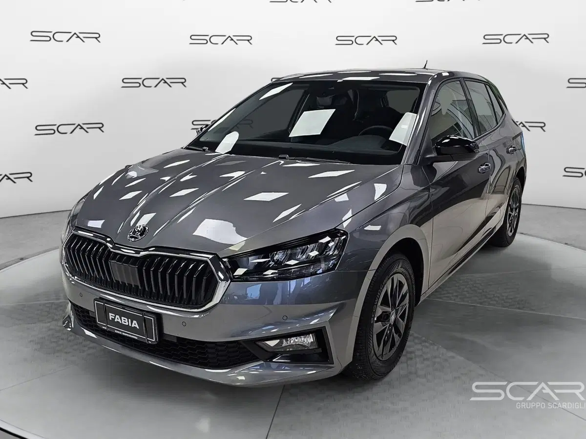 Skoda Fabia usata a Livorno