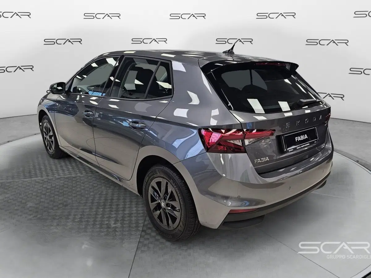 Skoda Fabia usata a Livorno (3)