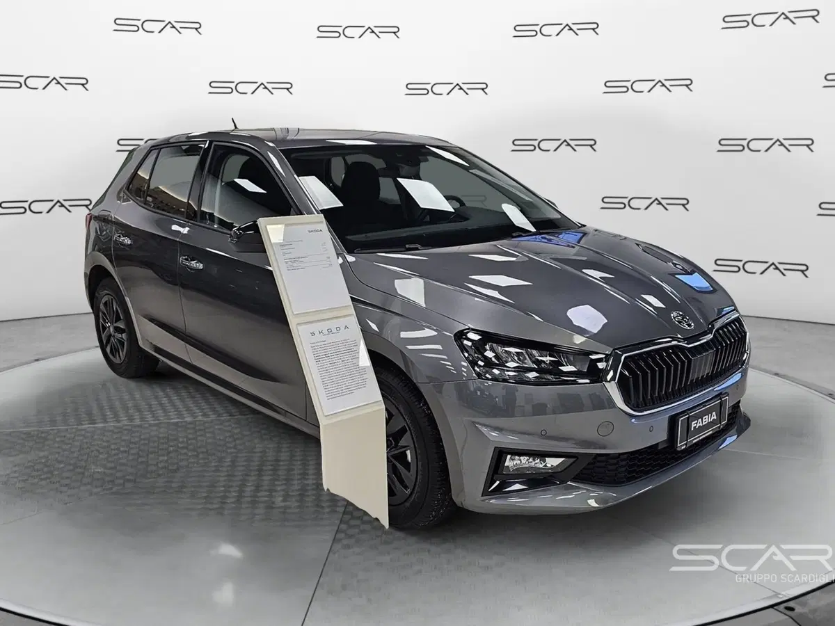 Skoda Fabia usata a Livorno (7)