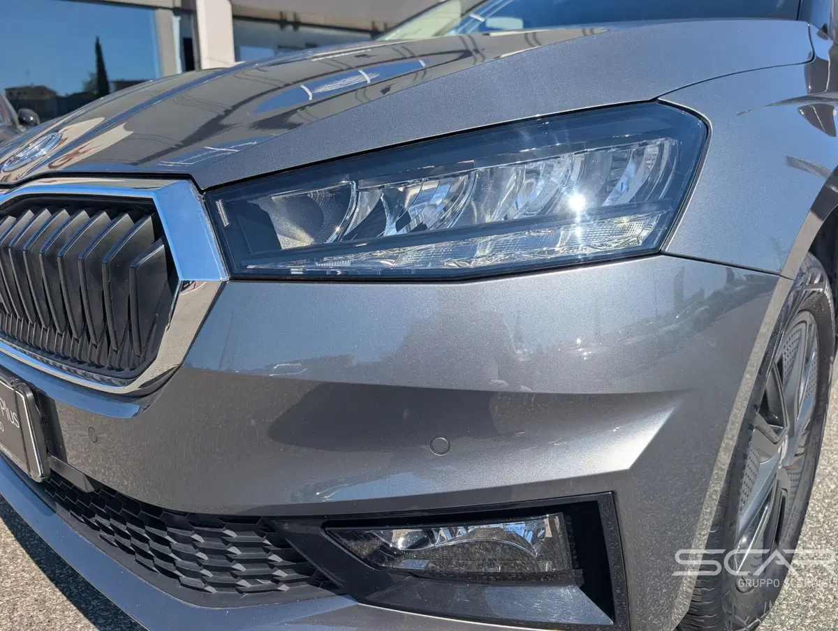 Skoda Fabia usata a Livorno (10)
