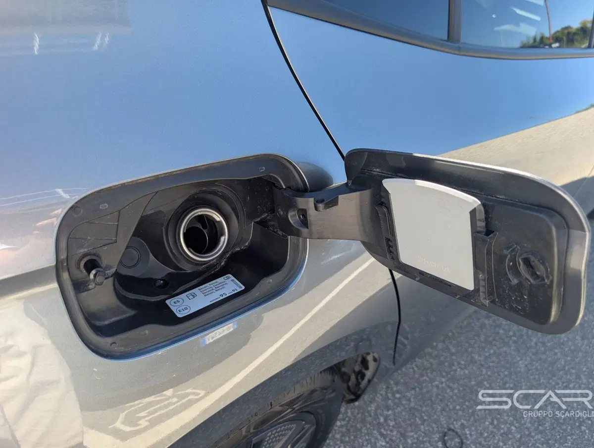 Skoda Fabia usata a Livorno (12)