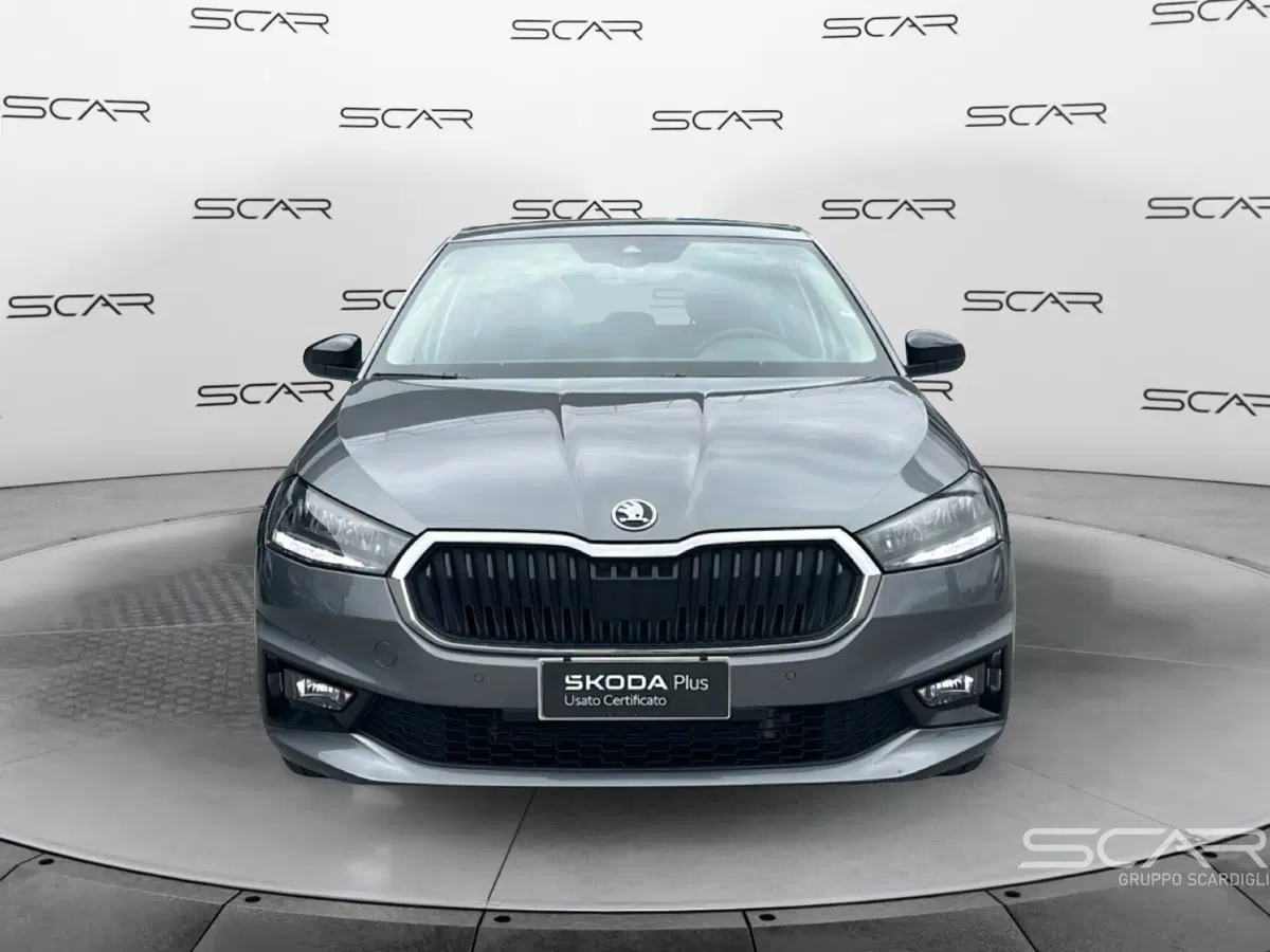Skoda Fabia usata a Livorno (8)