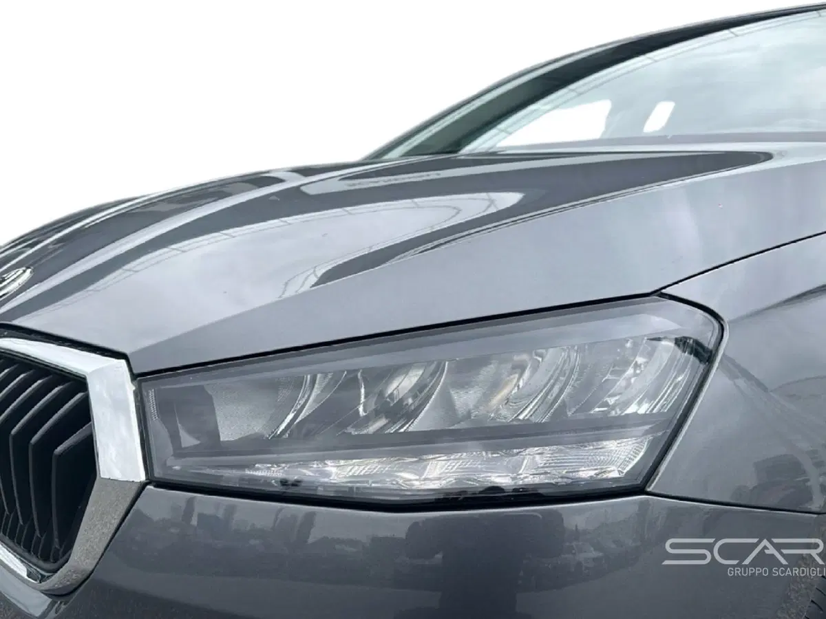 Skoda Fabia usata a Livorno (9)