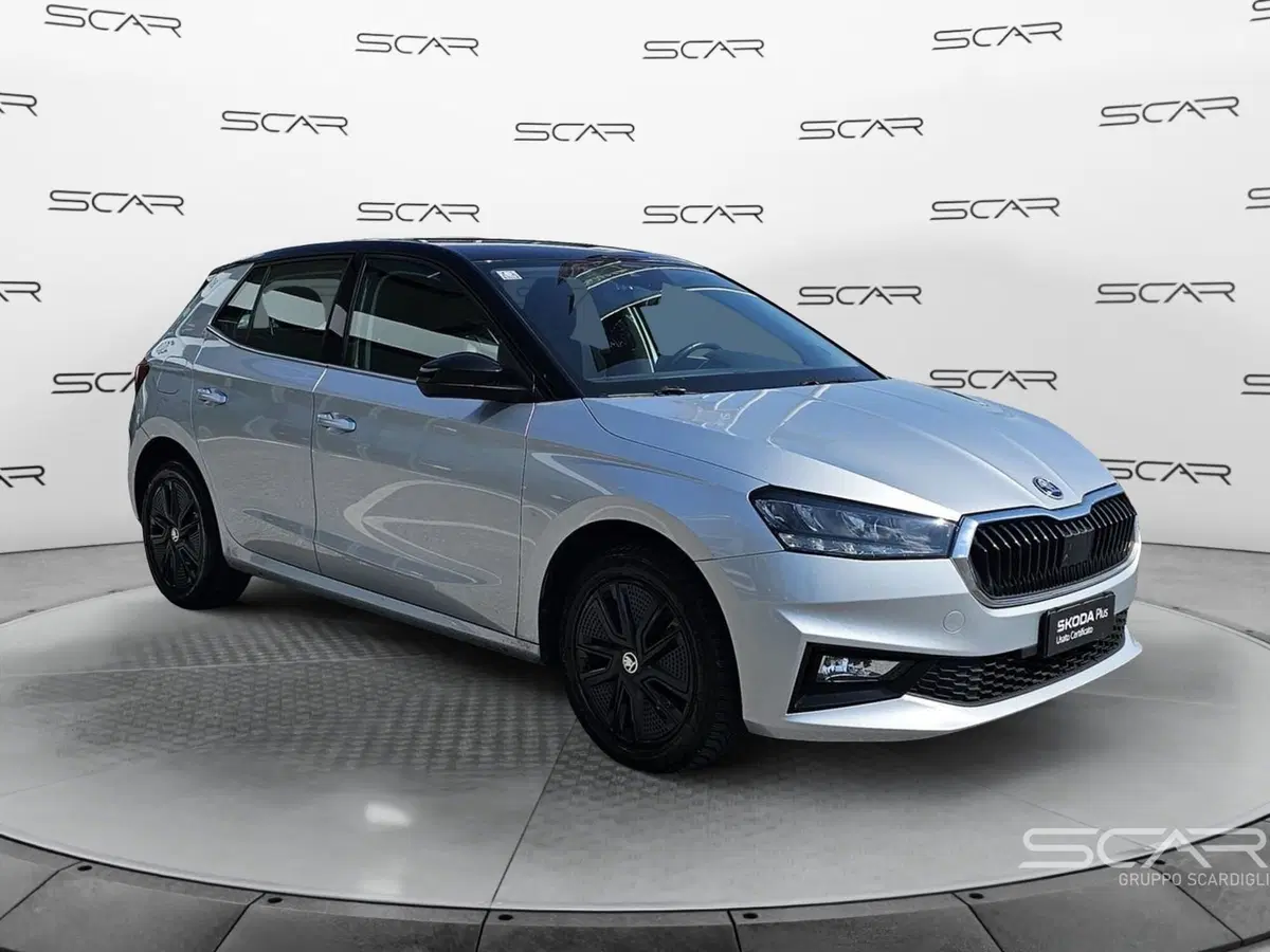 Skoda Fabia usata a Livorno (7)