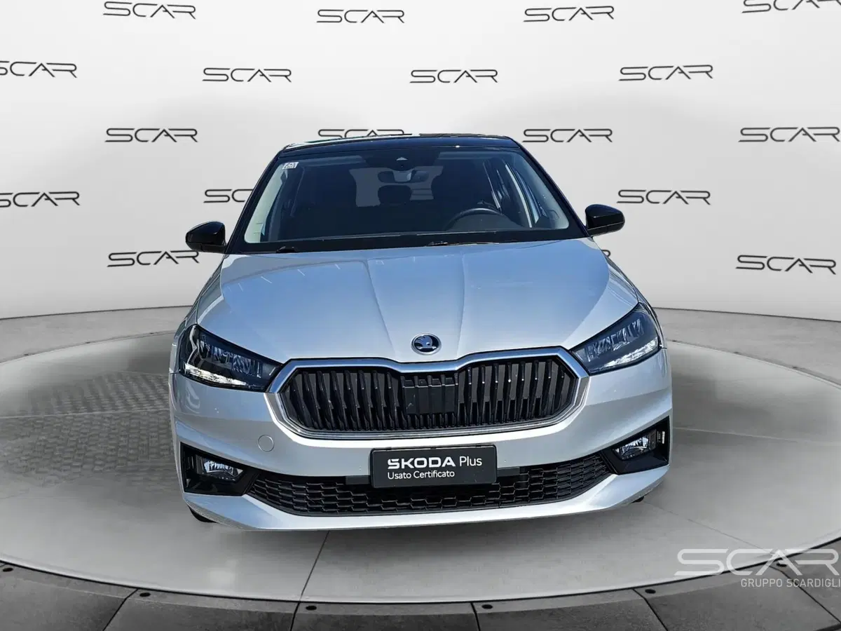 Skoda Fabia usata a Livorno (8)