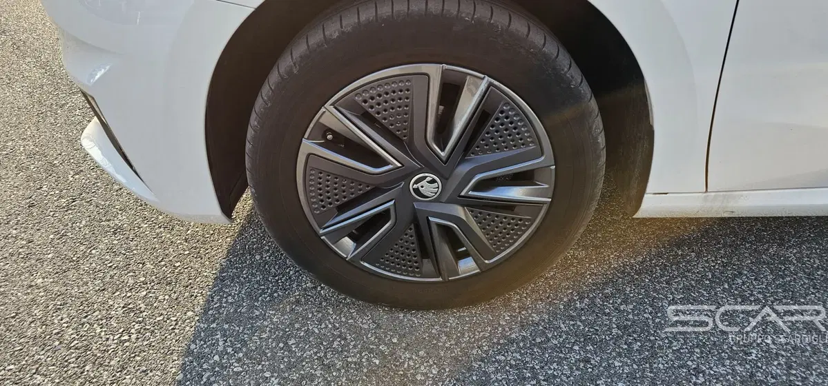 Skoda Fabia usata a Livorno (10)