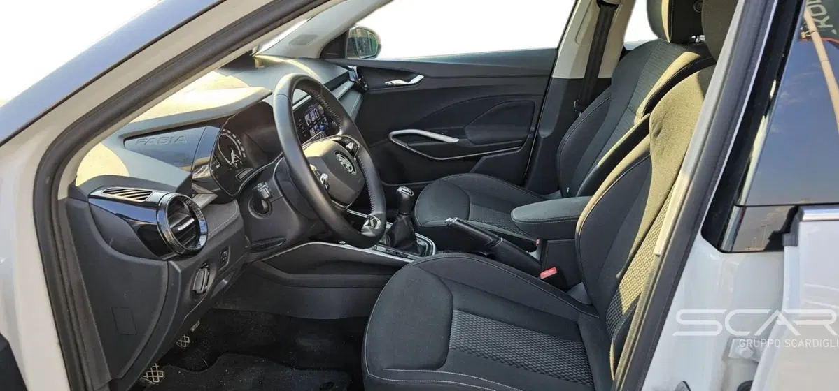 Skoda Fabia usata a Livorno (11)