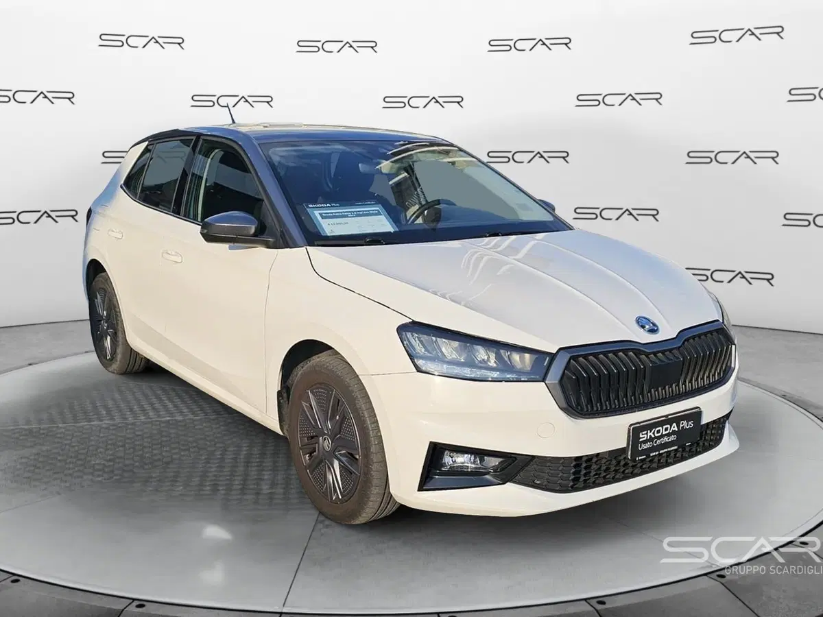 Skoda Fabia usata a Livorno (7)