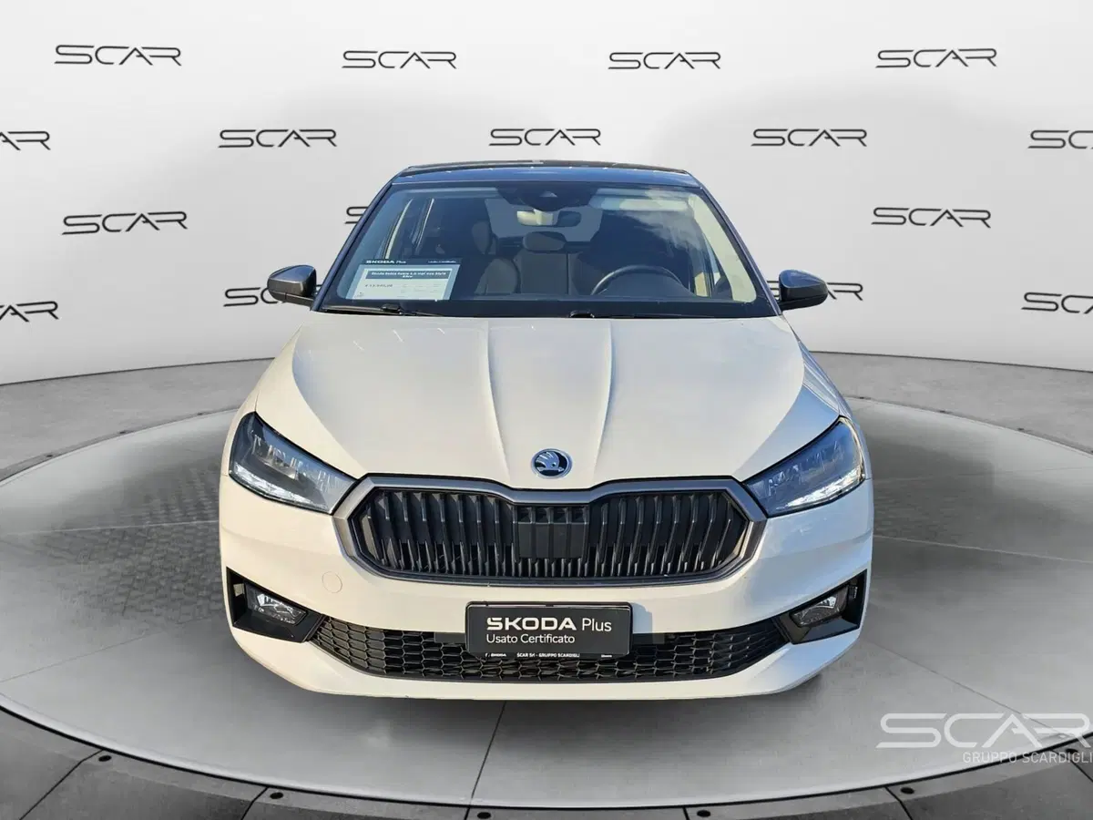 Skoda Fabia usata a Livorno (8)