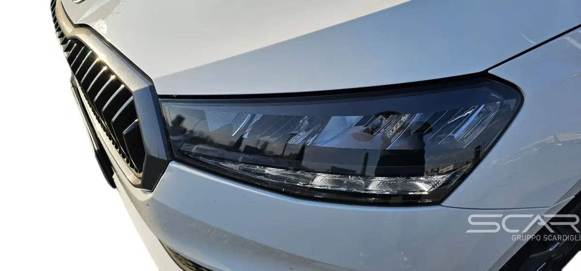 Skoda Fabia usata a Livorno (9)