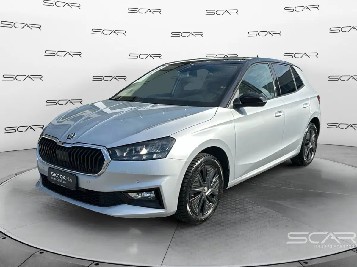 Skoda Fabia usata a Livorno