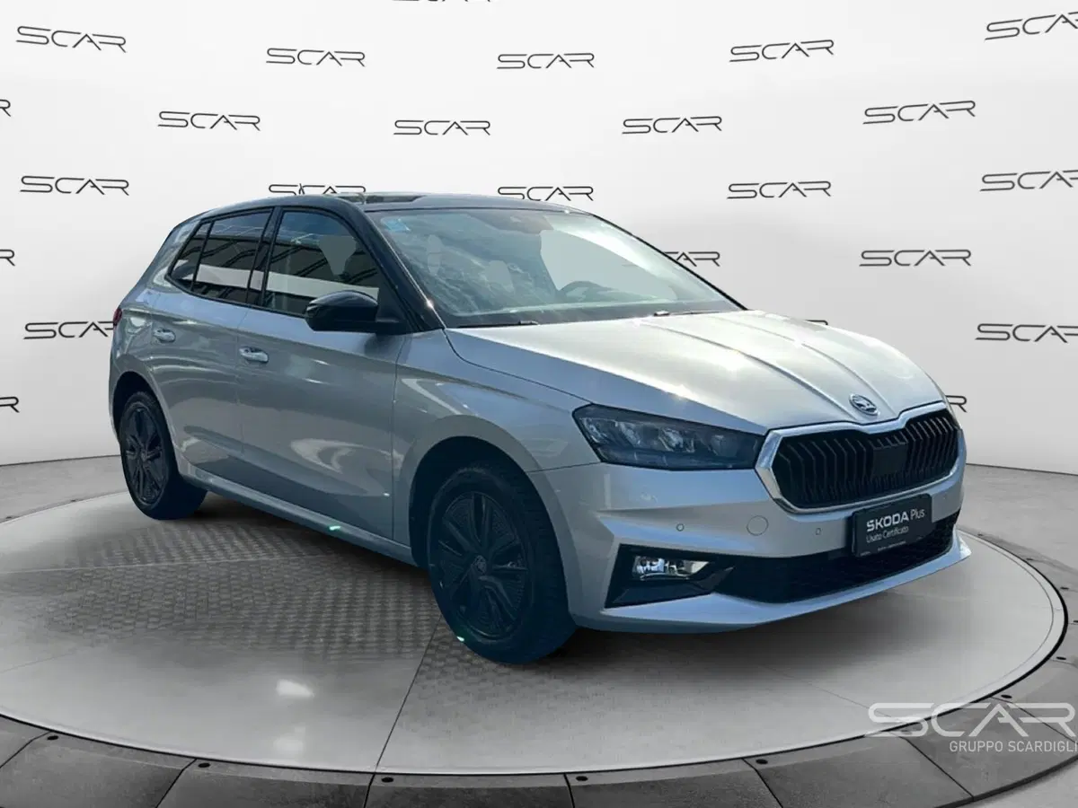 Skoda Fabia usata a Livorno (7)