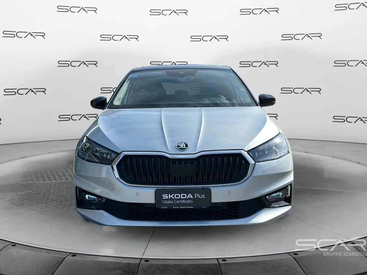 Skoda Fabia usata a Livorno (8)