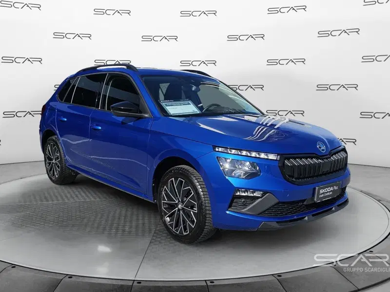 Skoda Kamiq usata a Livorno (7)