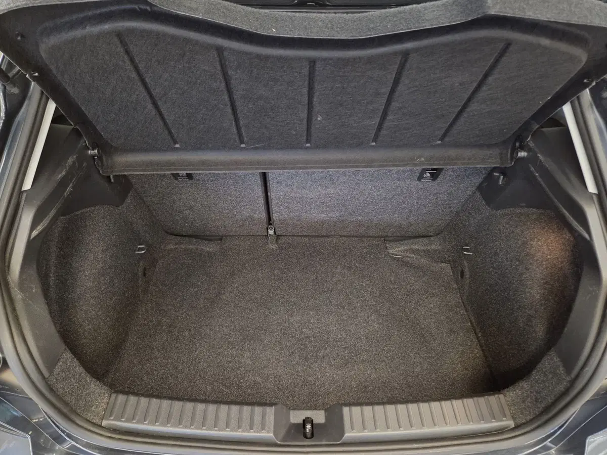 SEAT Ibiza usata a Pavia (8)