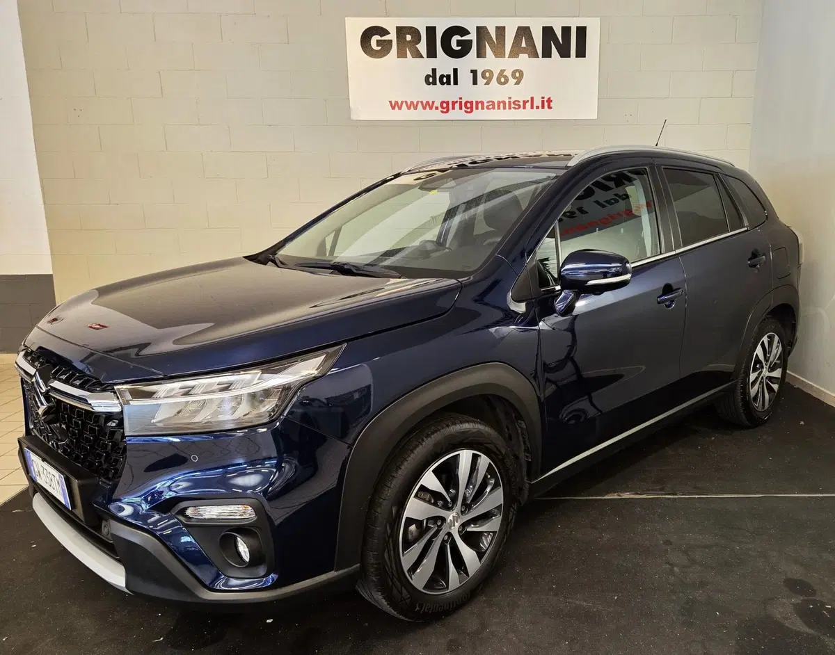 Suzuki S-Cross usata a Pavia (18)