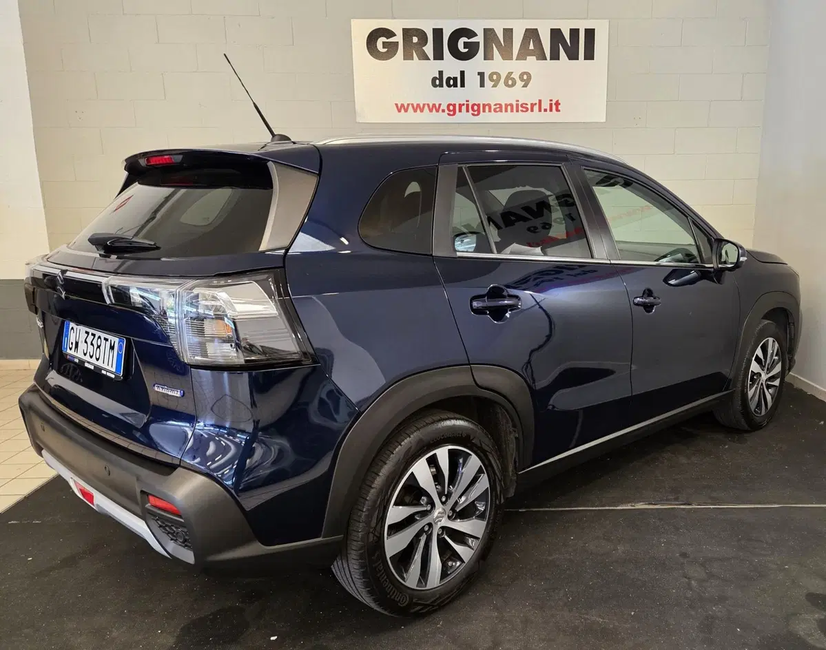 Suzuki S-Cross usata a Pavia (19)