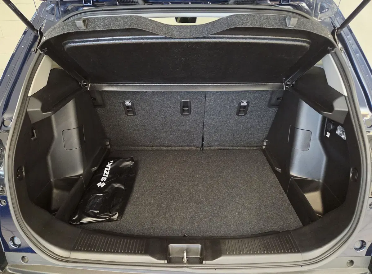 Suzuki S-Cross usata a Pavia (8)