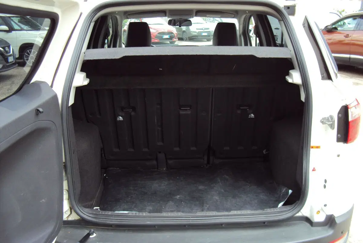 Ford EcoSport usata a Bologna (9)