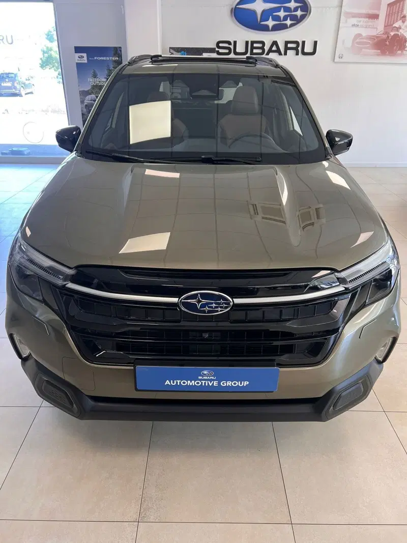 Subaru Forester nuova a Ravenna (6)