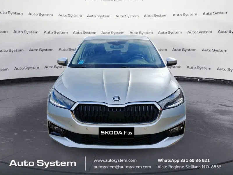 Skoda Fabia usata a Palermo (2)