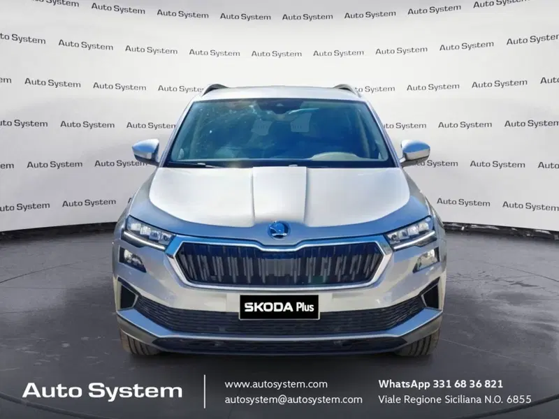 Skoda Karoq usata a Palermo (2)