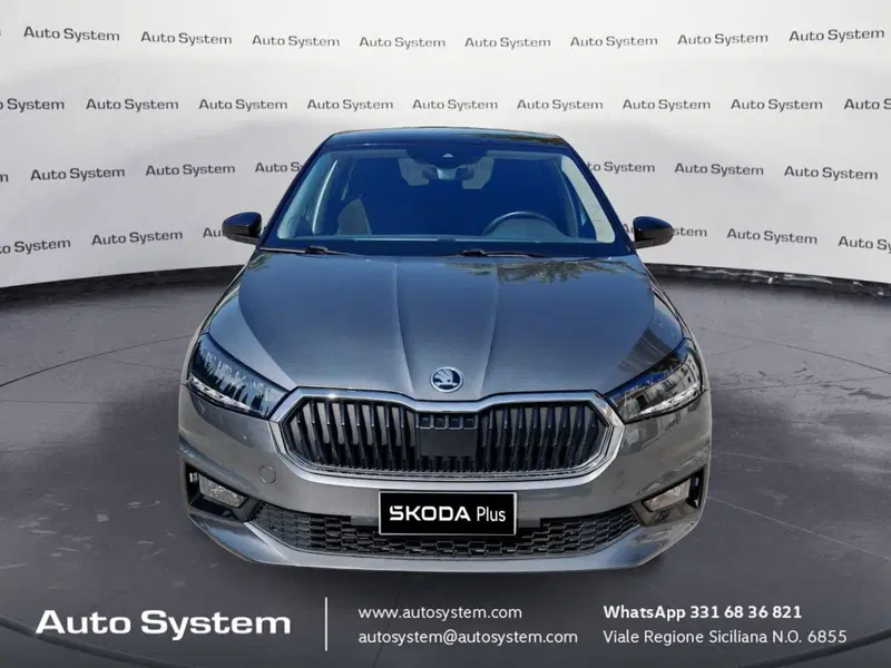 Skoda Fabia usata a Palermo (2)