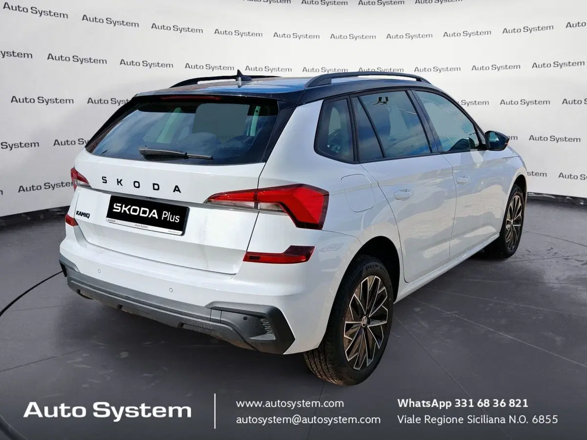 Skoda Kamiq usata a Palermo (4)