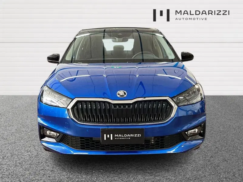 Skoda Fabia usata a Lecce (2)