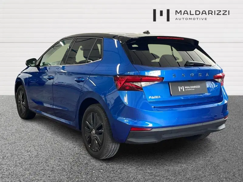 Skoda Fabia usata a Lecce (4)