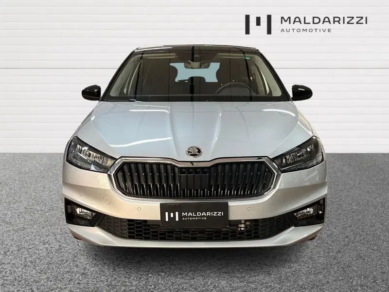Skoda Fabia usata a Bari (2)