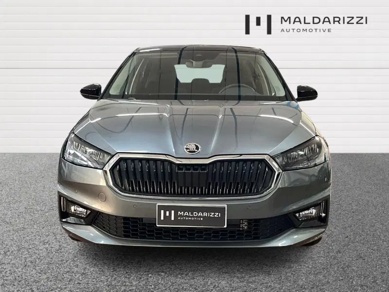 Skoda Fabia usata a Foggia (2)