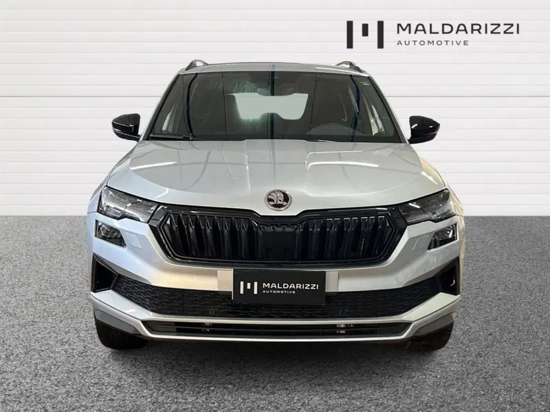 Skoda Karoq usata a Bari (2)