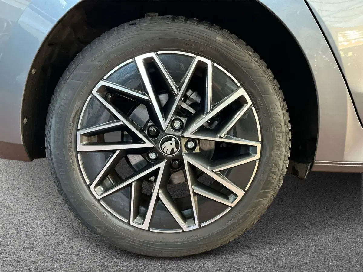 Skoda Octavia Station Wagon usata a Bari (6)
