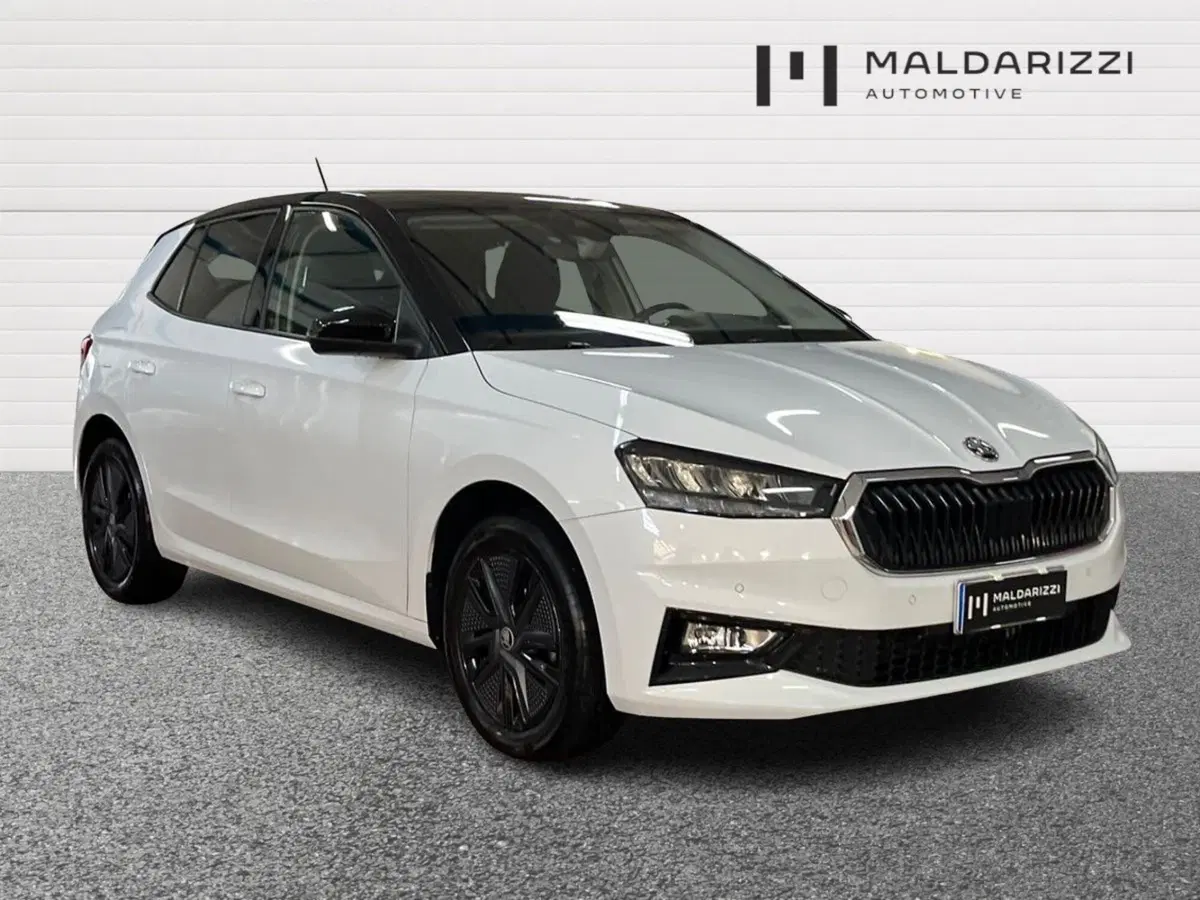 Skoda Fabia usata a Bari