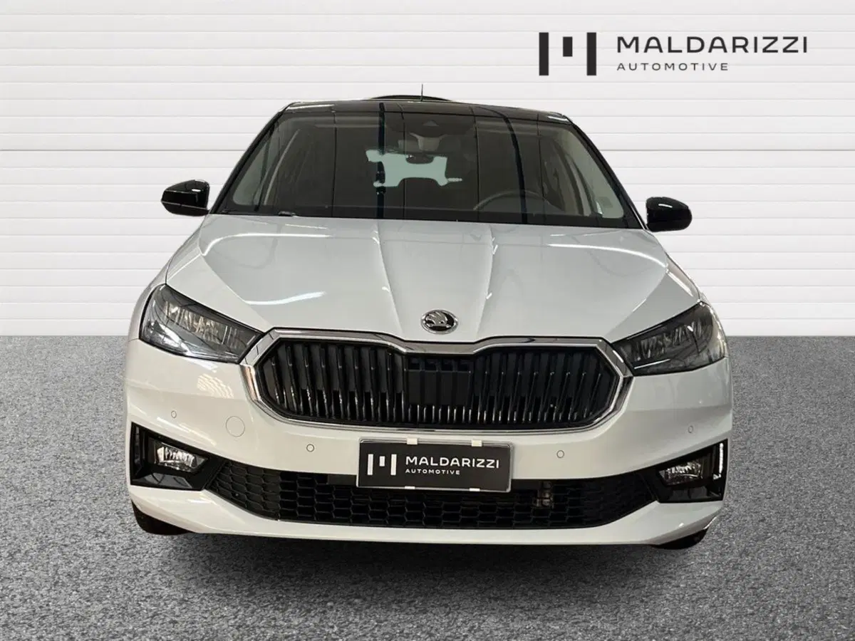 Skoda Fabia usata a Bari (2)