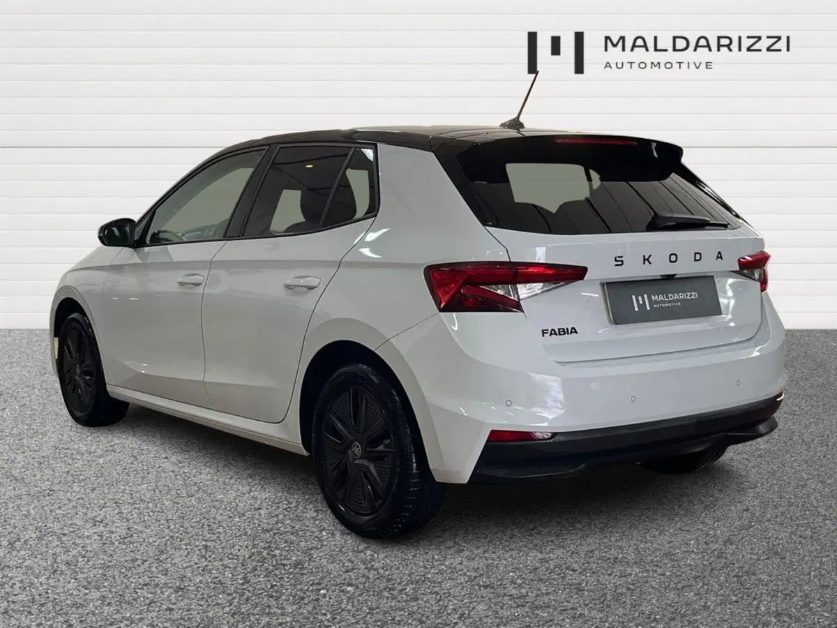 Skoda Fabia usata a Bari (4)