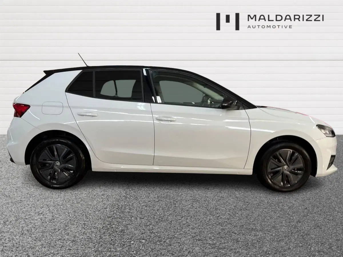 Skoda Fabia usata a Bari (5)