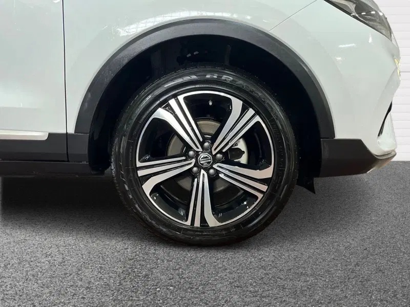 Mg ZS usata a Bari (6)