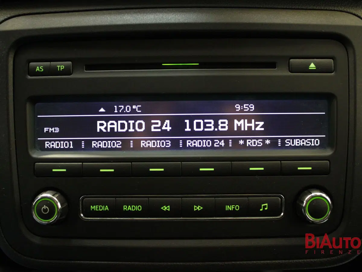 Skoda Fabia usata a Firenze (12)