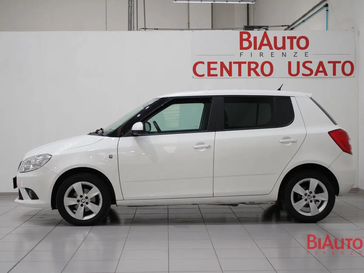 Skoda Fabia usata a Firenze (16)