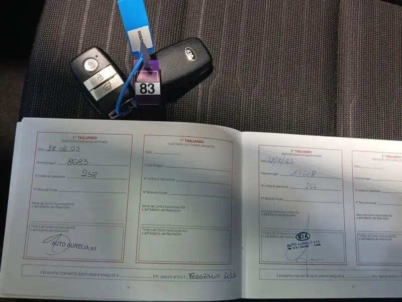 Kia Stonic usata a Genova (20)