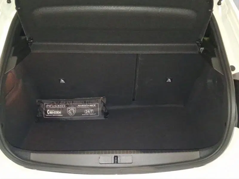 Peugeot 208 usata a Genova (17)