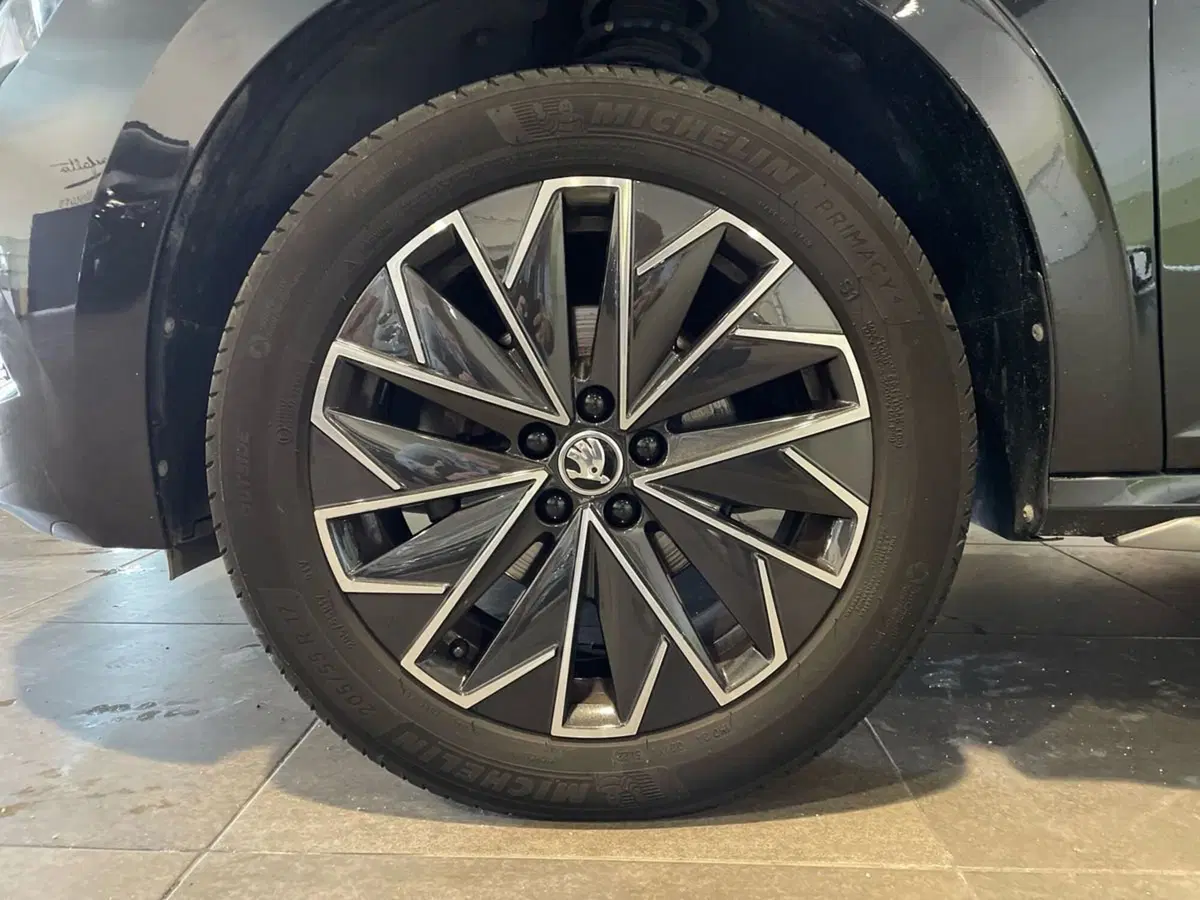 Skoda Kamiq usata a Ancona (8)