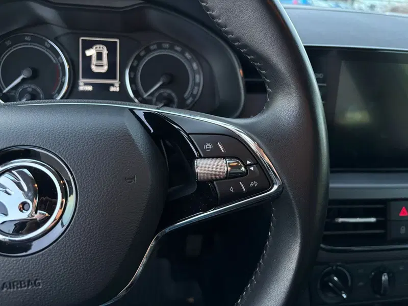 Skoda Kamiq usata a Vercelli (7)