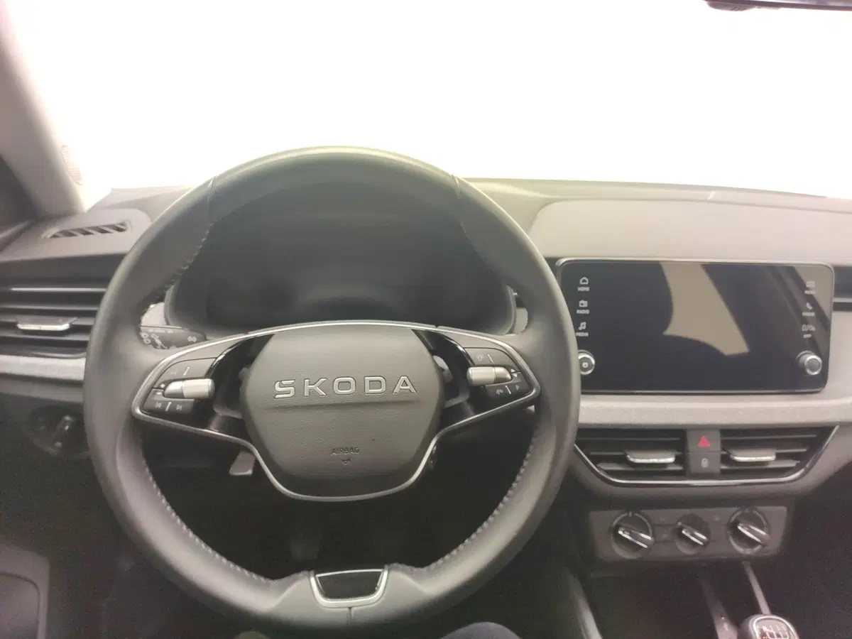 Skoda Kamiq usata a Avellino (17)
