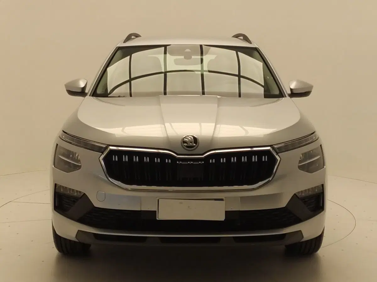 Skoda Kamiq usata a Avellino (2)