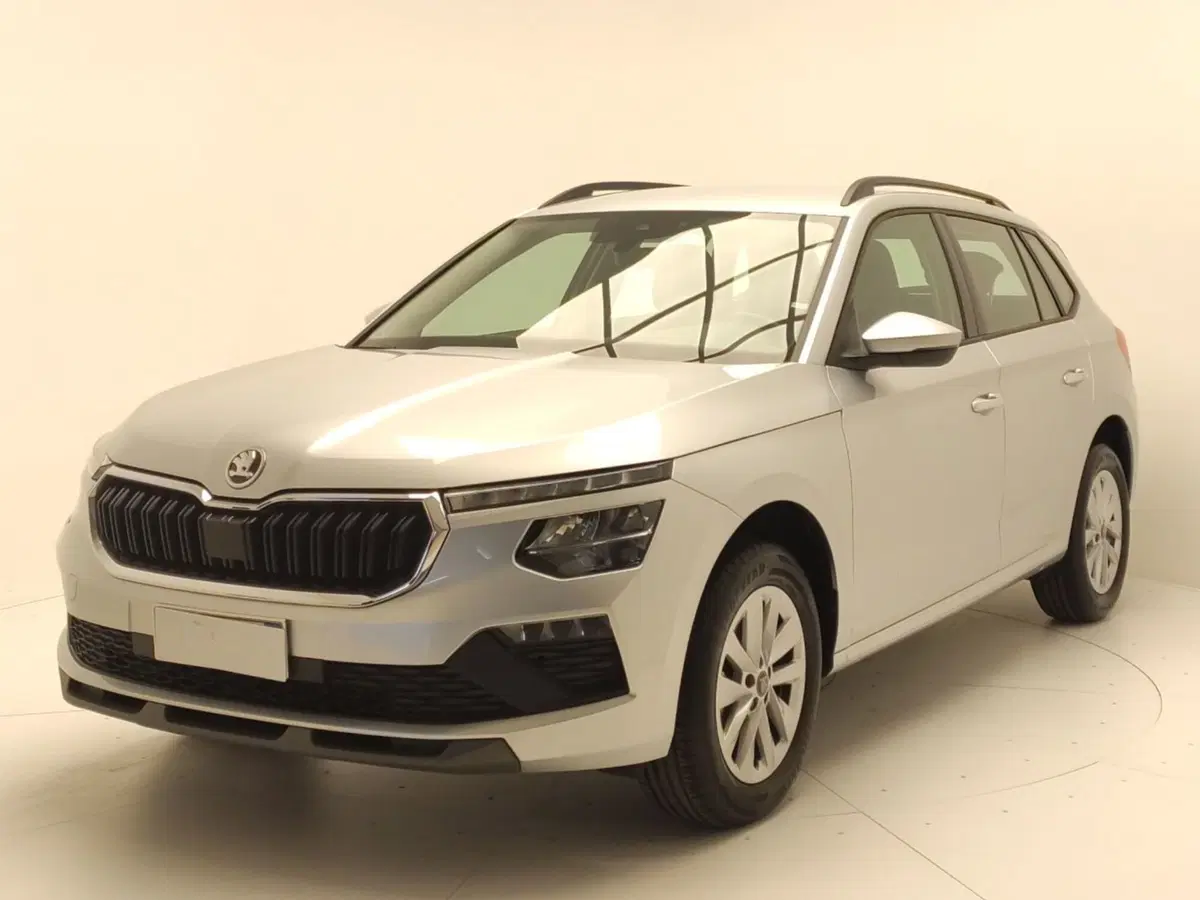 Skoda Kamiq usata a Avellino (3)