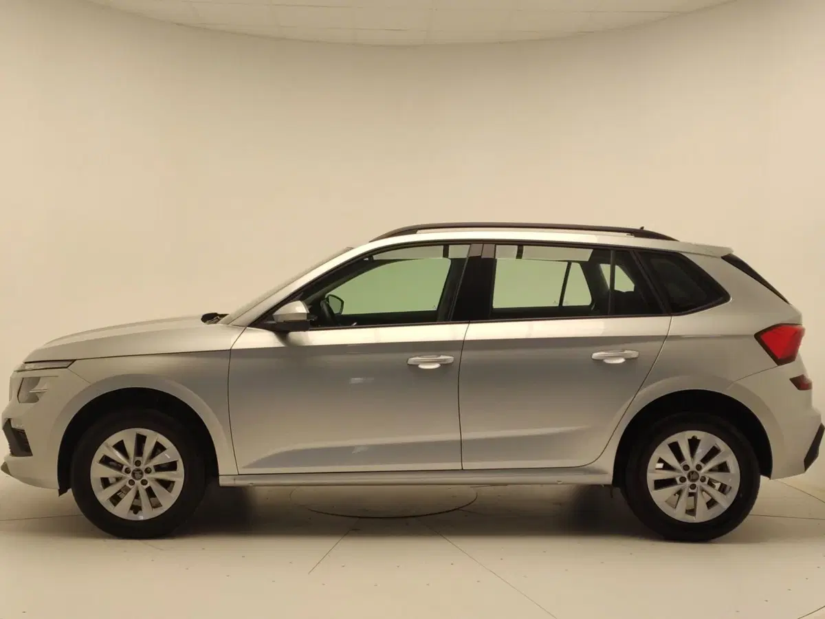 Skoda Kamiq usata a Avellino (4)